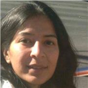 Experienced Software Engineer to provide lessons